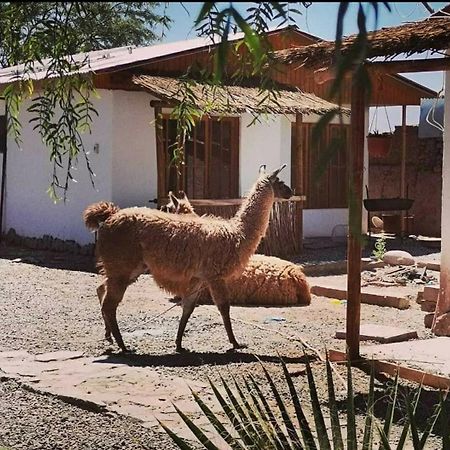 Cabañas, Voyage Atacama San Pedro de Atacama Exterior foto