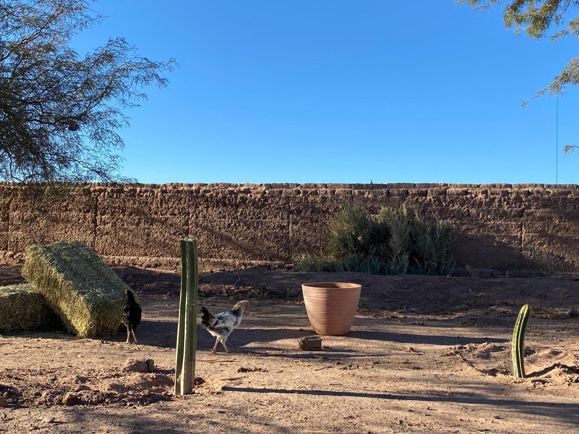 Cabañas, Voyage Atacama San Pedro de Atacama Exterior foto